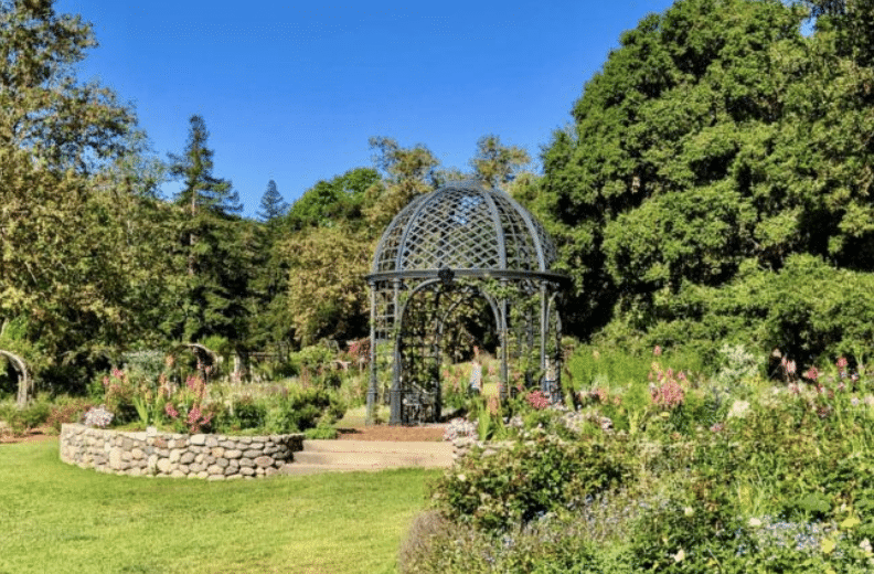 dgardens